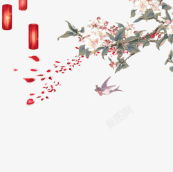 飘散的灯笼桃树飘散的花瓣高清图片
