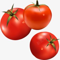 真实感西红柿蔬菜高清图片