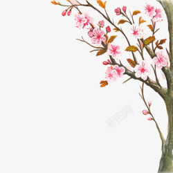 卡通手绘樱花树素材