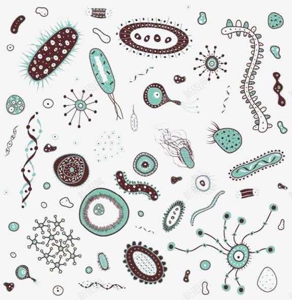 手绘细菌png免抠素材_新图网 https://ixintu.com 放大倍数细菌 显微镜下的细菌 显微镜细胞 硝化细菌 细菌图片 细菌试验 超级细菌