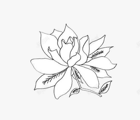 栀子花简笔画png免抠素材_新图网 https://ixintu.com 卡通 栀子花 简笔画 花朵