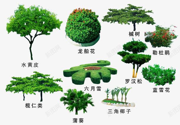 绿色植物png免抠素材_新图网 https://ixintu.com 3D贴图 效果图元素 盆景 绿化 绿化带 绿植 绿色植物