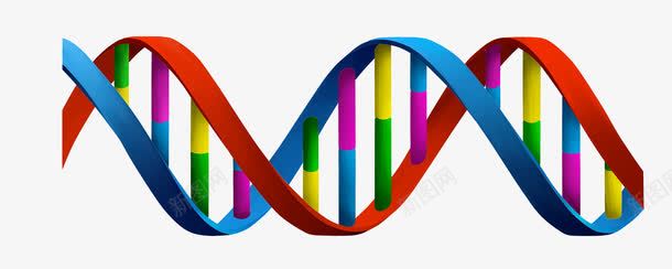 彩色的DNApng免抠素材_新图网 https://ixintu.com DNA 彩色 缠绕 螺旋
