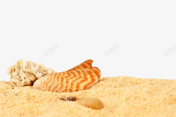 沙粒沙子png免抠素材_新图网 https://ixintu.com 沙子 沙粒 海上 烂漫 贝壳