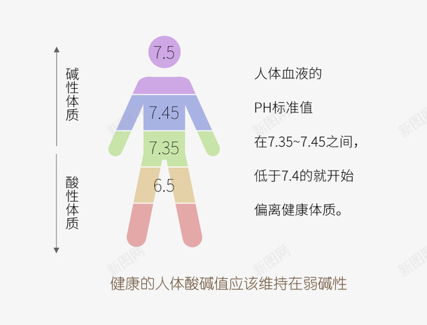 人体酸碱平衡png免抠素材_新图网 https://ixintu.com ph平衡 人体ph值 人体酸碱平衡 酸碱体质