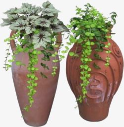 花瓶创意灌木植物素材