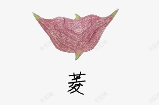 菱角荸荠png免抠素材_新图网 https://ixintu.com 手绘 水果 红 荸荠 菱角 蔬菜 马蹄子 马蹄形