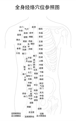 人体经脉图腿部手绘黑白片矢量图高清图片