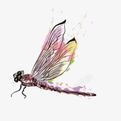 昆虫装饰手绘蜻蜓高清图片