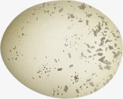鸭蛋蛋壳龙蛋高清图片