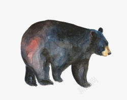 卡通黑熊水彩黑熊高清图片