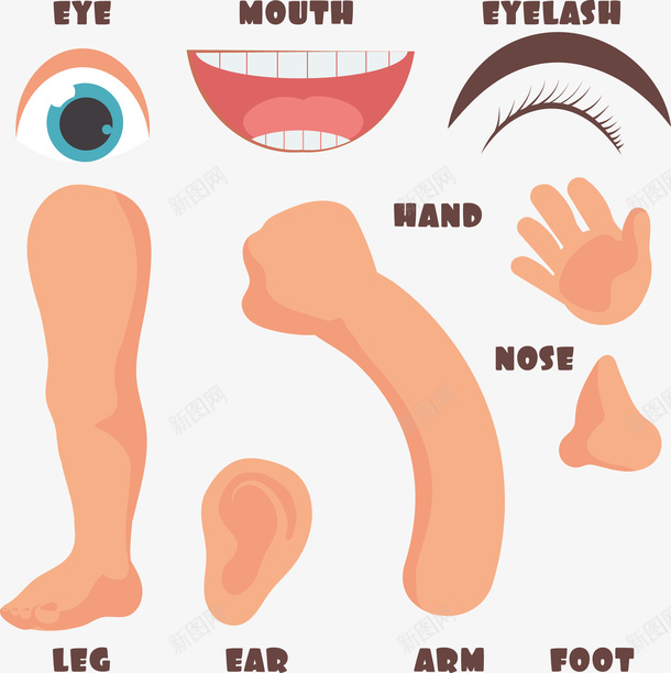 五官与手脚png免抠素材_新图网 https://ixintu.com 五官 五官PNG 人体五官 口鼻 手脚 眼耳口鼻 矢量五官