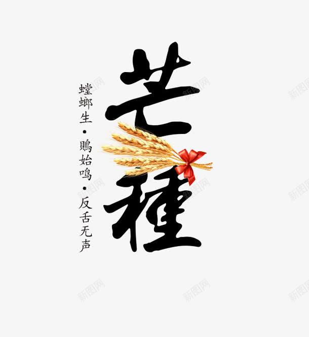 芒种艺术字png免抠素材_新图网 https://ixintu.com 小麦 艺术字 节气 芒种