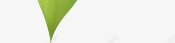 实物一片嫩绿色叶子png免抠素材_新图网 https://ixintu.com 叶子 嫩绿色叶子 广告设计 摄影 海报设计 清新文艺绿叶 清新装饰 绿叶 绿叶装饰插画