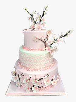 粉色系粉色小清新圆型樱花蛋糕系列高清图片