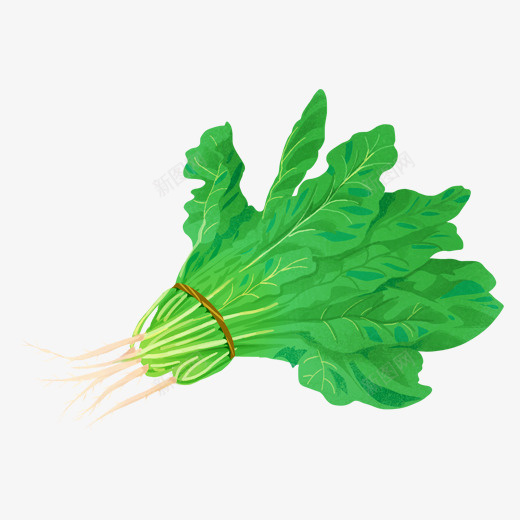 绿色菠菜食物元素psd免抠素材_新图网 https://ixintu.com 叶子 层次 捆绑 果实 绿色 菠菜 赤根菜 青菜 食物