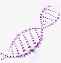 紫色清新DNA效果元素素材