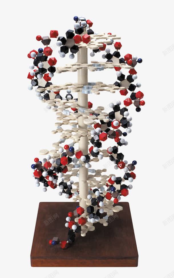 生物模型片png免抠素材_新图网 https://ixintu.com DNA 基因链 模型 黑红色 黑红色系