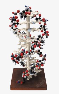 基因模型生物模型片高清图片