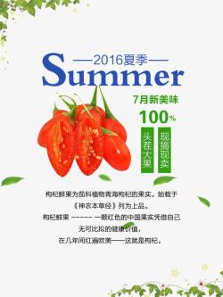 2016新鲜夏季鲜果红枸杞高清图片