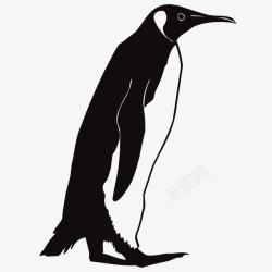南极的寒冷手绘企鹅元素高清图片