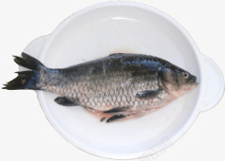 白鲫鱼圆形双耳盘子鱼肉宰鱼食材素材