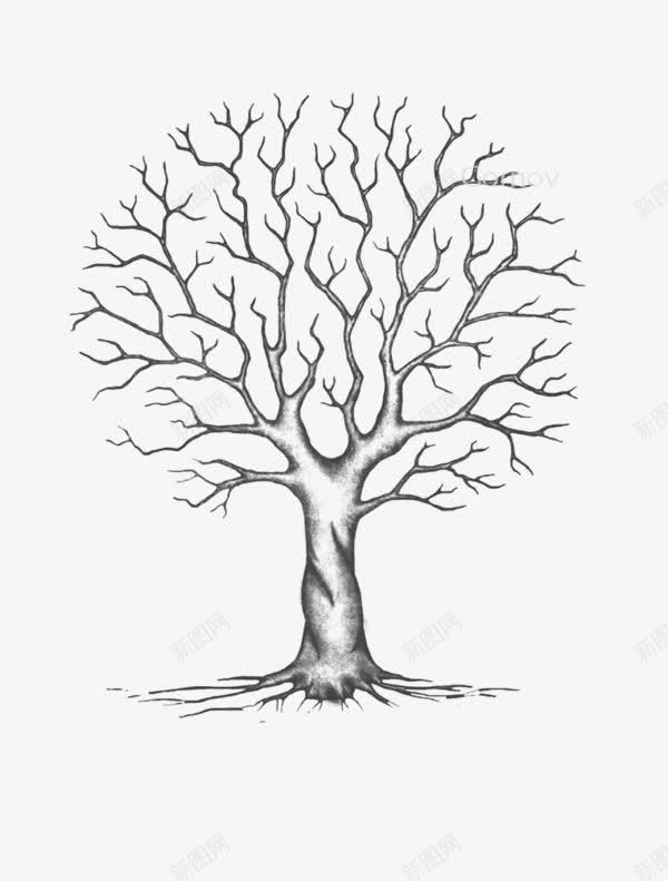 没有树叶的大树png免抠素材_新图网 https://ixintu.com 卡通大树 大树 树干 树木