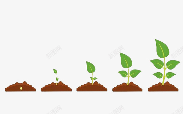 一颗植物生长过程png免抠素材_新图网 https://ixintu.com 免抠 卡通手绘 成长 植物 生长过程 简笔画