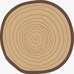 树木年龄圆形循环的年轮矢量图高清图片