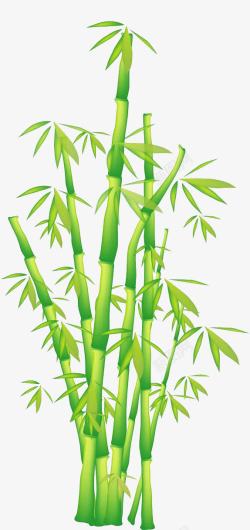 竹杆竹子高清图片