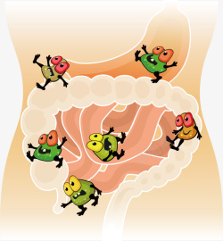 肠道问题手绘肠道漫画矢量图高清图片