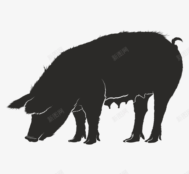 单色母猪透明图png免抠素材_新图网 https://ixintu.com 剪影 吃 家畜 母猪 黑色
