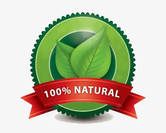 百分百纯天然png免抠素材_新图网 https://ixintu.com 100NATURAL 健康 天然无公害 天然食物 树叶 绿色 绿色树叶 绿色植物