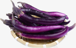 矢量紫色茄子箩筐里的茄子高清图片
