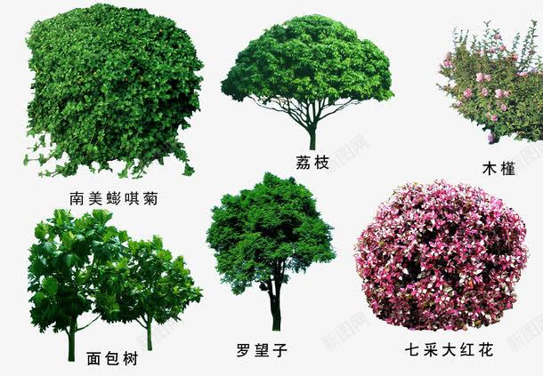 绿色植物png免抠素材_新图网 https://ixintu.com 3D贴图 效果图元素 盆景 绿化 绿化带 绿植 绿色植物