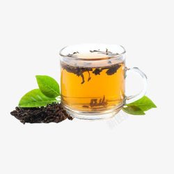 冬桑叶茶桑叶茶的展示高清图片