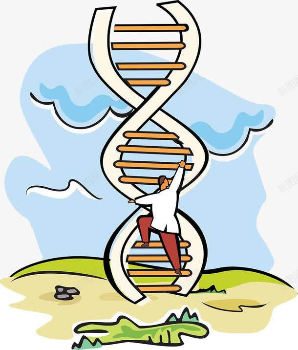 科学实验DNA梯子png免抠素材_新图网 https://ixintu.com dna 实验 梯子 科学 科学实验