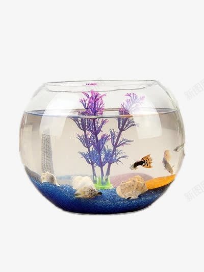 海底世界png免抠素材_新图网 https://ixintu.com 摆件 海底鱼缸图片 鱼缸图片 鱼缸素材