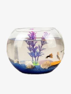 海底鱼缸图片海底世界高清图片