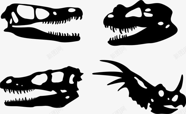 四个头骨矢量图ai免抠素材_新图网 https://ixintu.com 侏罗纪恐龙 剪影 四个 大型恐龙 恐龙 恐龙剪影 矢量图