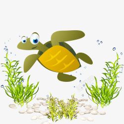 可爱的乌龟乌龟卡通海洋生物海洋世界高清图片