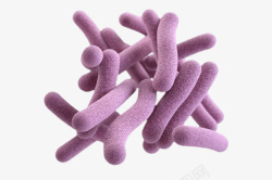 细菌放大效果图细菌细胞放大元素高清图片