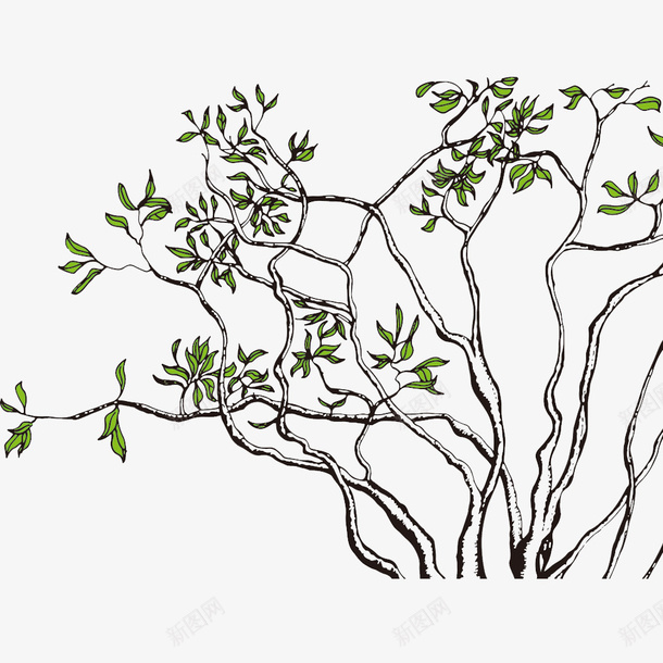 绿意盎然的手绘古树png免抠素材_新图网 https://ixintu.com 大树 手绘卡通 手绘古树 手绘图 枝繁叶茂 树木 素描图 绘画 绿意盎然