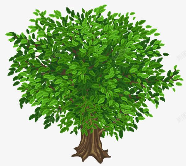 卡通茂密的绿树png免抠素材_新图网 https://ixintu.com 大树 树叶 绿色