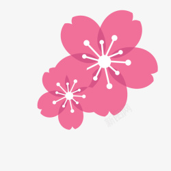 多彩花卉花卉图案桃花樱花矢量图高清图片