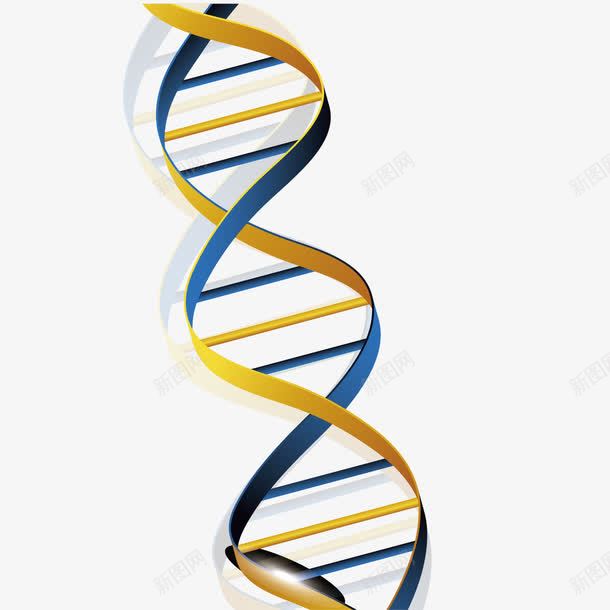 DNA双螺旋结构图png免抠素材_新图网 https://ixintu.com DNA DNA双螺旋结构图片 双螺旋 结构