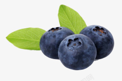 蓝莓水果甜好吃真正的大蓝莓高清图片