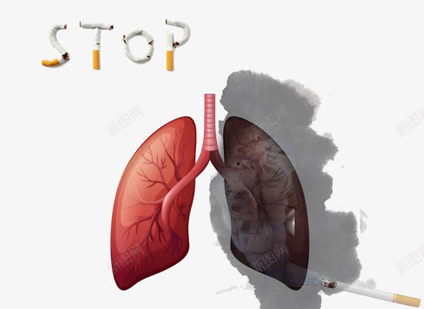 吸烟危害健康png免抠素材_新图网 https://ixintu.com 二手烟 健康 创意肺 吸烟 吸烟是恶魔 地狱恶魔 恶魔艺术 骷髅 黑肺