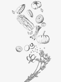 海白菜食材简约黑白食材装饰图案高清图片