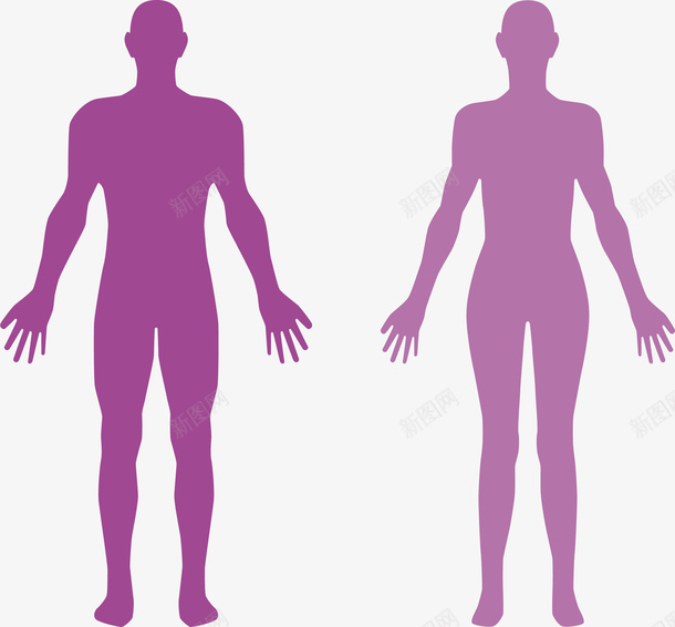 人体结构图png免抠素材_新图网 https://ixintu.com 人体 卡通 生物医药 生物医药产业 生物医药展板 生物医药彩页 生物医药整容